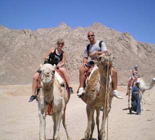 Reiten auf Kamelen