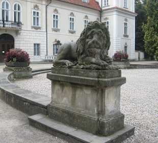 Park przy Pałacu w Nieborowie