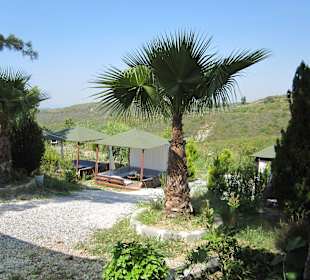 Unimog-Safari Tour vom 08.07.2014