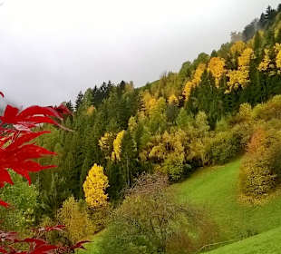 Wandern San Lorenzo di Sebato / Sankt Lorenzen