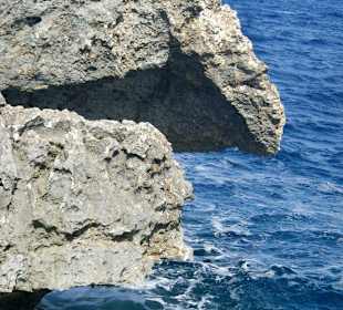 Cape Greko