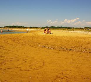 Gündogdu vom feinsten