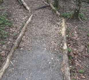 Barfußpfad Firstwald