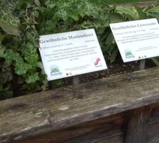 Andechser Kräutergarten