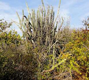 Spaziergang durch den Hòfi Pastor Park