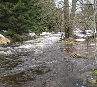 Bach hinter dem Hotel Brockenstübchen