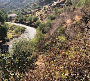 Inseltour Romántica Alltours