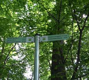 Premiumwanderweg "hochgelegen"