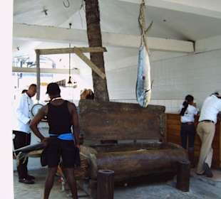 Captain Cook