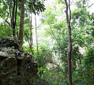 Umgebung beim Wasserfall