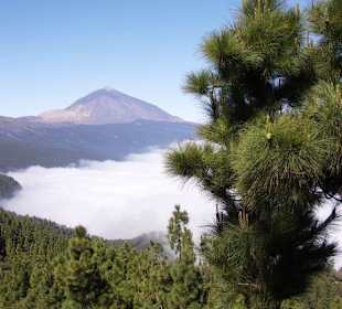 Der Teide über dem Wolkenmeer