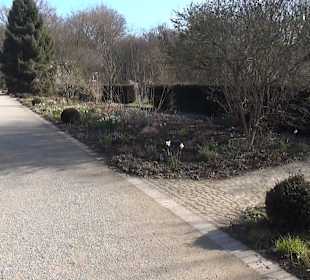 Botanischer Garten - Rombergpark