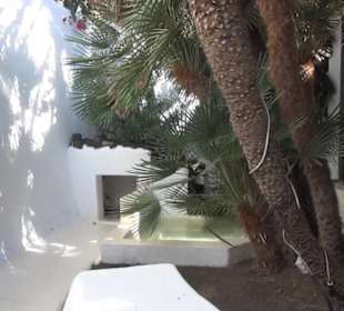 Museo Lagomar