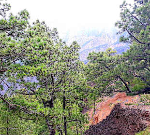 Traumhafte Landschaft