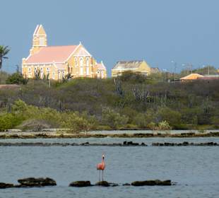 Flamingo vor Kirche von St. Willibrordus
