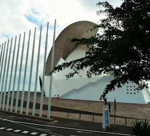 Konzerthalle:"Auditore de Tenerife"