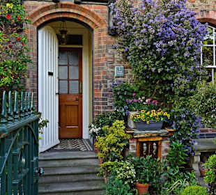 Wunderschöne Vorgärten in Tynemouth