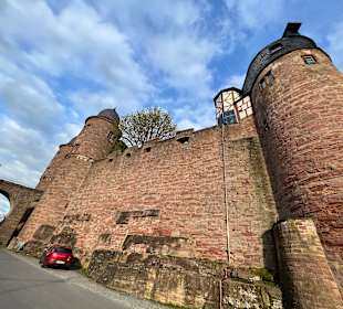 Burg Werheim