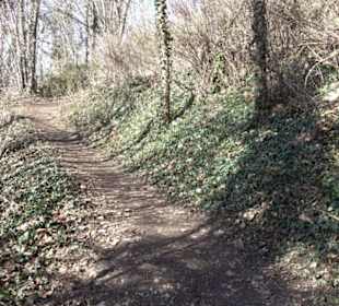 Wanderung Florianrunde