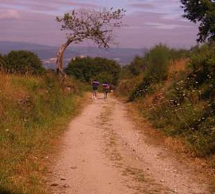 Der Weg ist das Ziel!