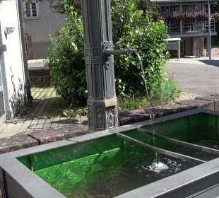 Savoyer Platz Altensteig