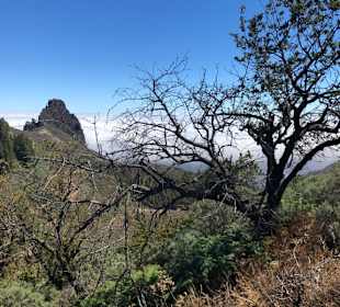 Inseltour Romántica Alltours