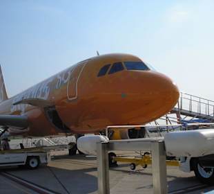 Skybus