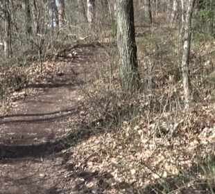Hirschauer Spitzbergwegle (Premiumspazierwanderweg