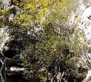 Tour & Ausflug in Alanya