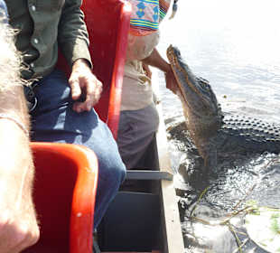 Ernest Red Wing in Action