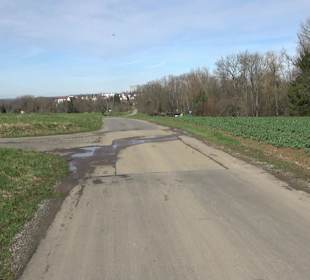 Gomaringer Rundweg - Zu den Giganten im Wald