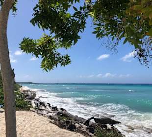 Auf der Insel Catalina Dom. Republik