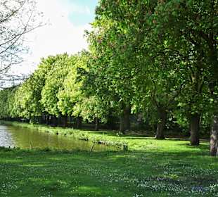 Impressionen vom Rundgang um die Gateteiche