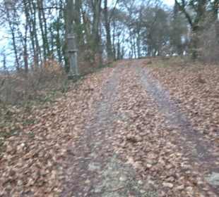 Stationenweg am Kreuzberg Bremelau