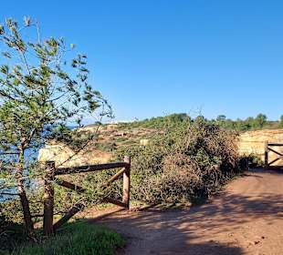 Seven Hanging Valleys Trail 