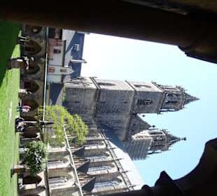 Magdeburger Dom aus dem Kreuzgang fotografiert