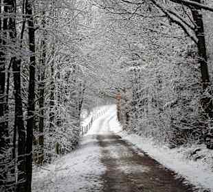 Der Wanderweg auf den Veitsberg