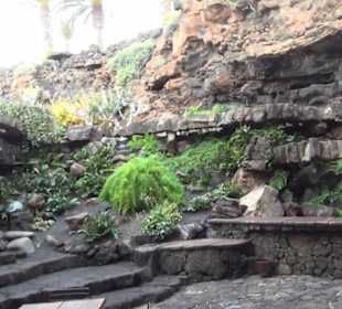 Jameos del Agua 