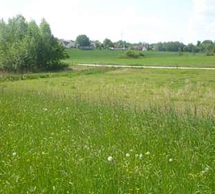 Rundwanderung Petersberg