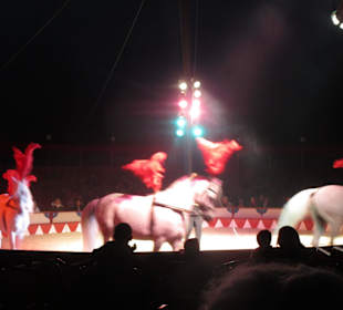 Landauer Weihnachtcircus 2016