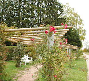 Wandern Freudenstadt