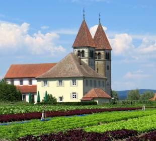 St. Peter und Paul neben den Salatfeldernn