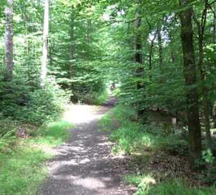 Pfaffenberg