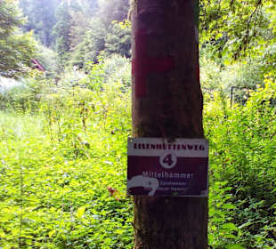 Wanderweg Eisenhüttenweg in Trippstadt