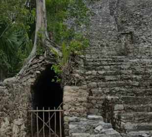 Coba