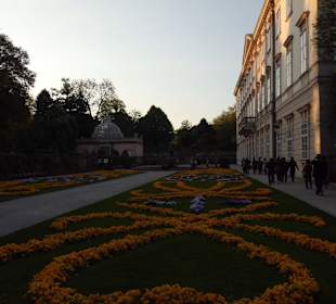 Im Mirabellgarten