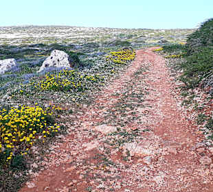 Nationalpark Kap Greco