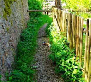 Die Burg Bärnfels und seine Umgebung
