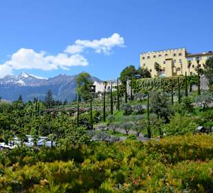 Schloß Trautmannsdorf bei Meran
