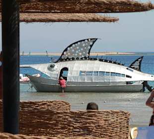 Mit diesem Boot fährt man zum Schnorcheln